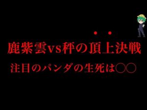 【呪術廻戦 185話】とんでもない激アツ展開になってしまいました…※ネタバレ注意